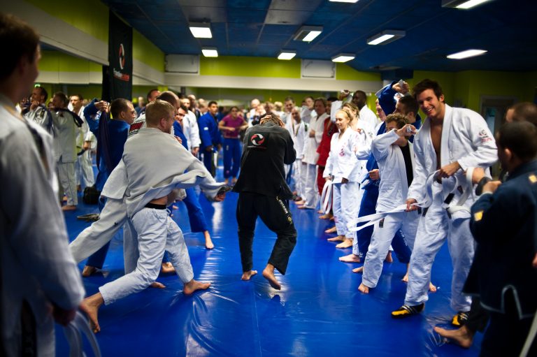 brazilian jiu jitsu schools