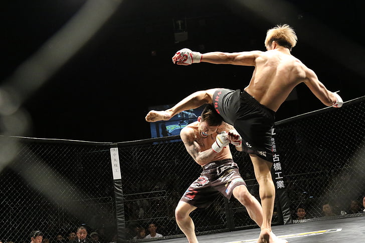 mixed-martial-arts-sport-kick-shooto-preview