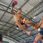 martial-art-gcb4feb191_1920_480x480